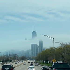 Meet your Posher, Robin